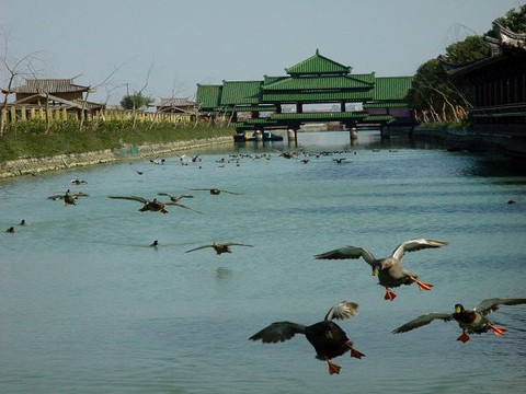 滕头村图片