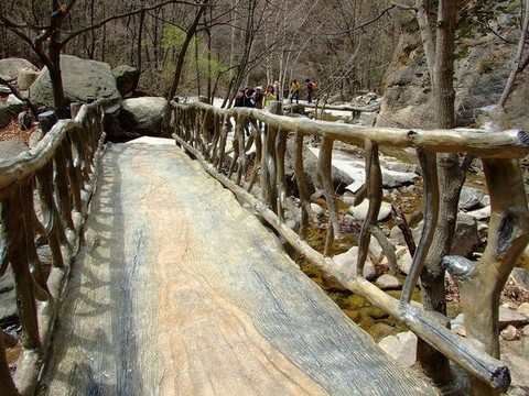 雾灵山图片