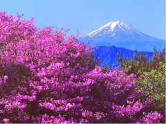 富士山图片