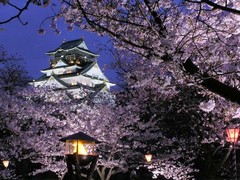 大阪城公园夜景