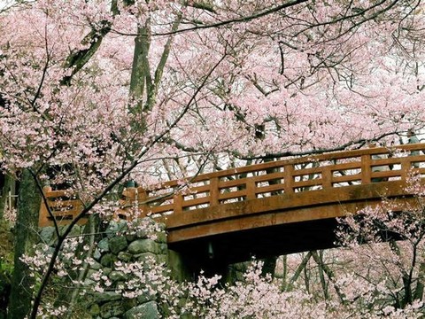 箱根平和公园图片