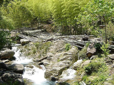 龙王山图片