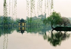 瘦西湖