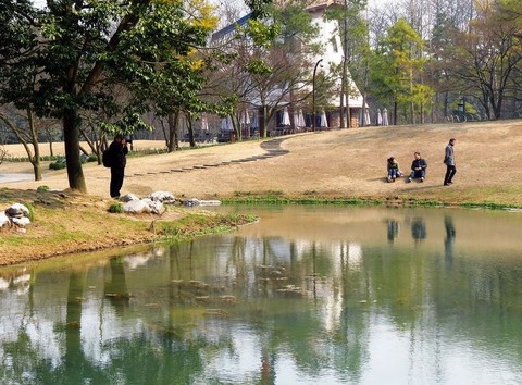 太子湾公园图片