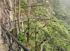 高空栈道