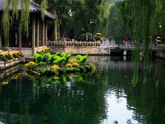 趵突泉图片