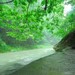 张家界十大“勾魂”美景