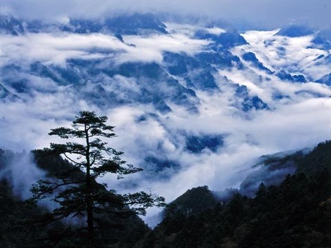 <em>神龙架</em> - tuniupublic的<em>照片</em> - 途牛<em>旅游网</em>