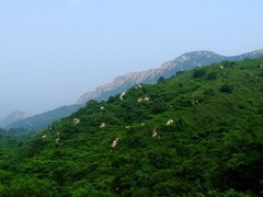 蓟县旅游景点图片