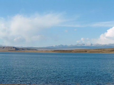 青海湖图片