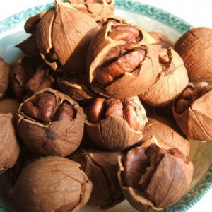 临安特产山核桃 - 浙西大峡谷的照片\/杭州\/浙江