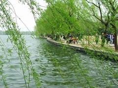 西溪之春