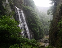 温州医学院图片