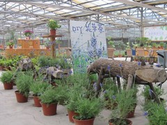 2010031521123557552