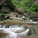 临安湍口山... 柳溪江