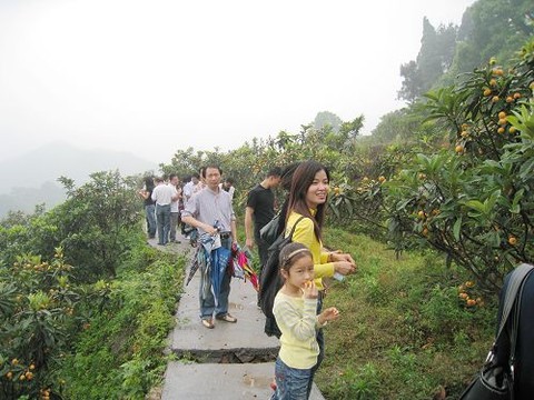 宁波大学图片
