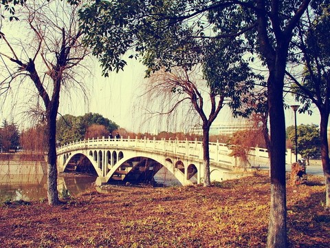 黄冈师范学院图片 - 黄冈师范学院的照片\/黄冈