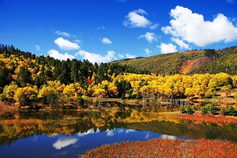 秋季旅游_秋天适合去哪儿旅游_秋天旅游胜地