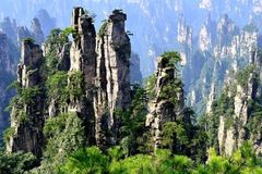 武隆仙女山天气预报