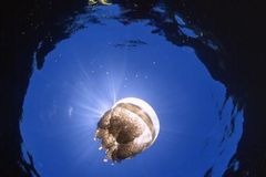 去泰国旅游护照、签证如何办理?…_已解决_上