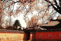 请问去韩国签证要交保证金的吗 …_已解决_上