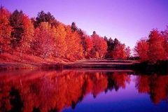 自备签证去韩国旅游还需要交押金…_已解决_