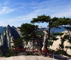 请问费用包含北京到西安往返机票…_已解决_