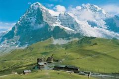 美国加州阳光旅行社