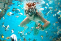 菲律宾旅游签证办理流程