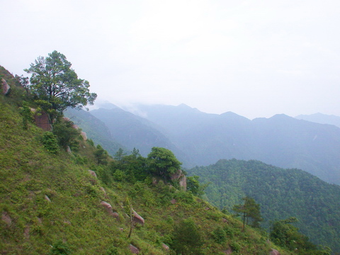 天井山