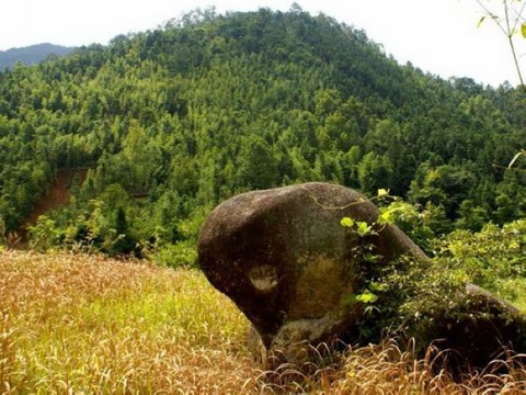 翼之旅帶您賞佳景 雲髻山景區特色景點圖片 新豐雲髻山